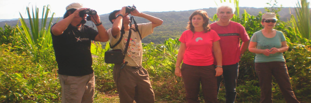 Tour por la Jungla Espectacular - 3 días en Tambopata