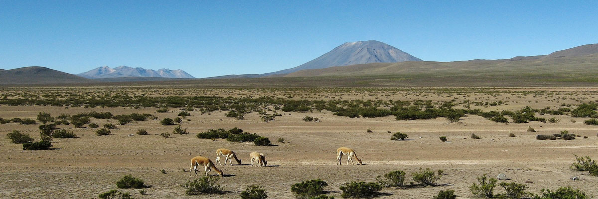 Tour ao Cânion de Colca (Arequipa) e Lago Titicaca (Puno) en Arequipa