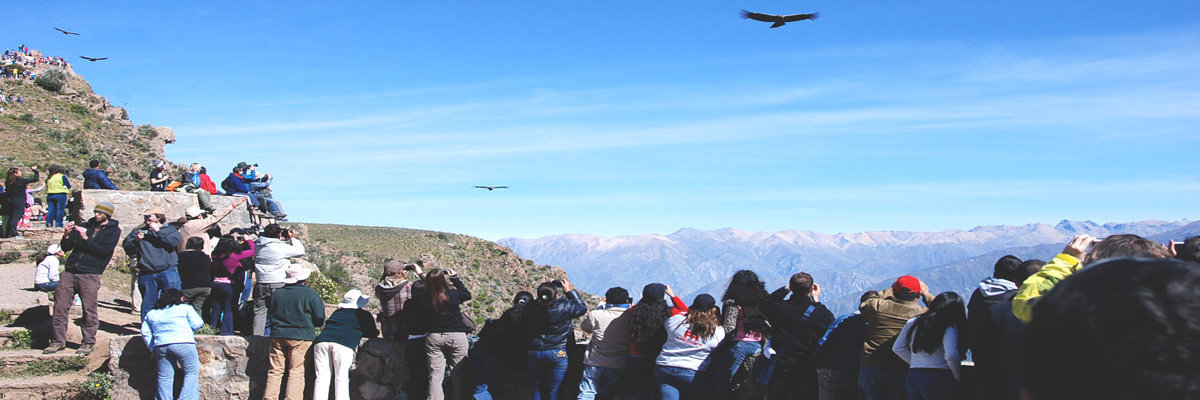 Caminhada para o Cânion do Colca en Arequipa