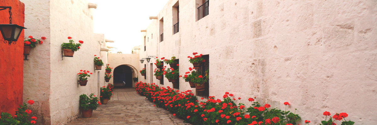 Arequipa city tour a pé e Mosteiro de Santa Catarina en Arequipa