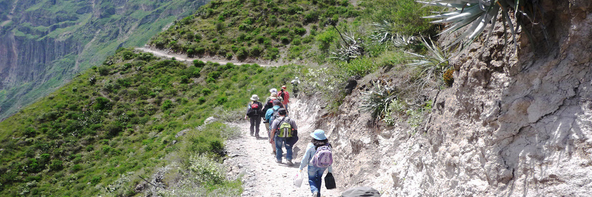 Tour para as Cachoeiras de Llahuar e Fure en Arequipa