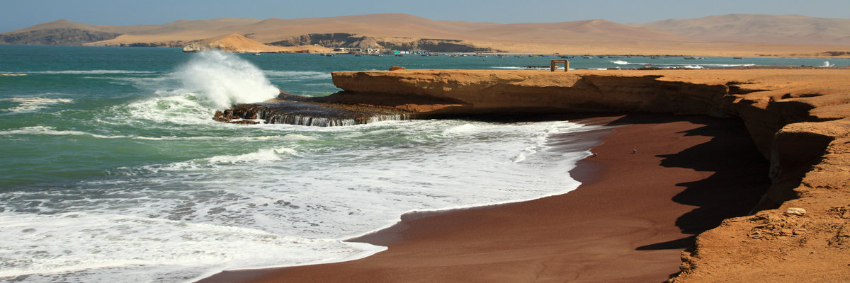 Tour pela Reserva Nacional de Paracas en Nazca