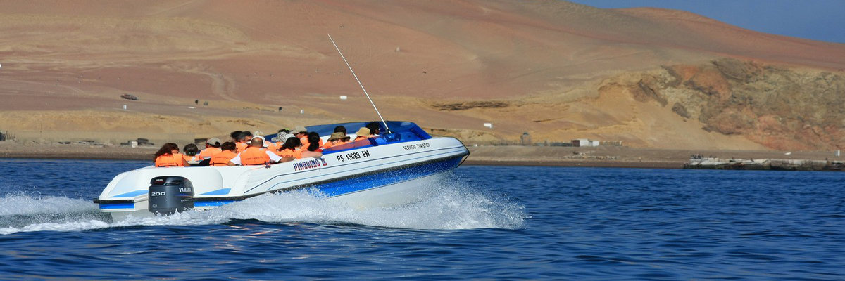 Tour pela Reserva Nacional de Paracas en Nazca