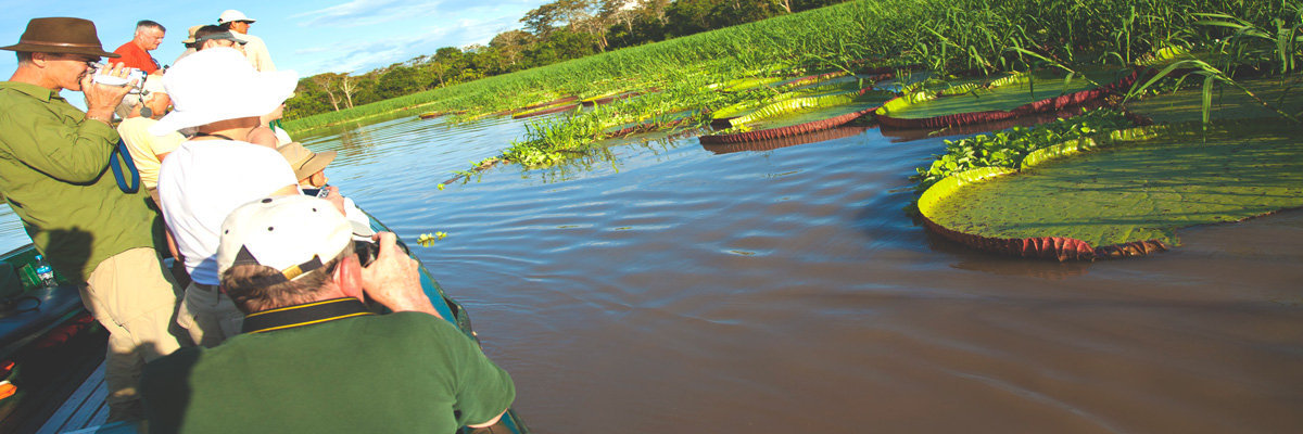 Tour Cedro - 3 dias en Iquitos