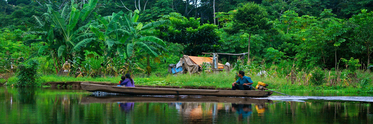 Tour a Rurrenabaque e Pampas en La Paz