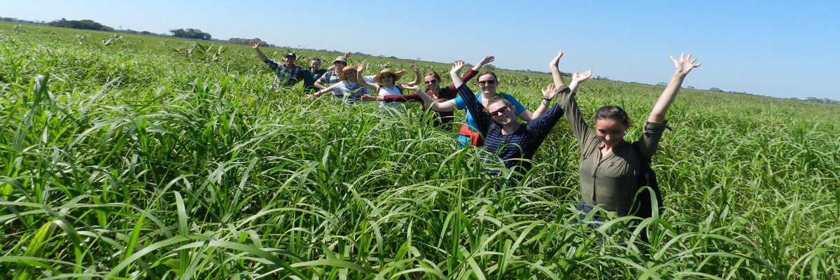 Tour a Rurrenabaque e Pampas en La Paz