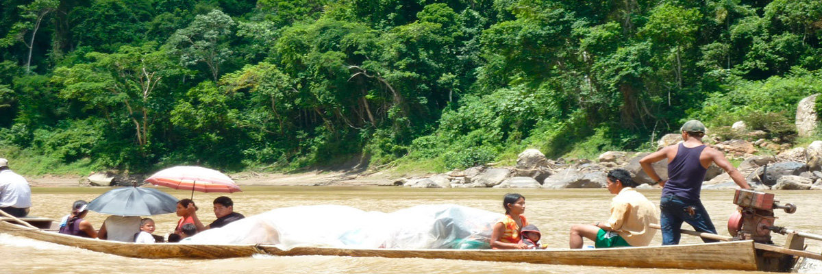 Tour a Rurrenabaque e pela Selva en La Paz