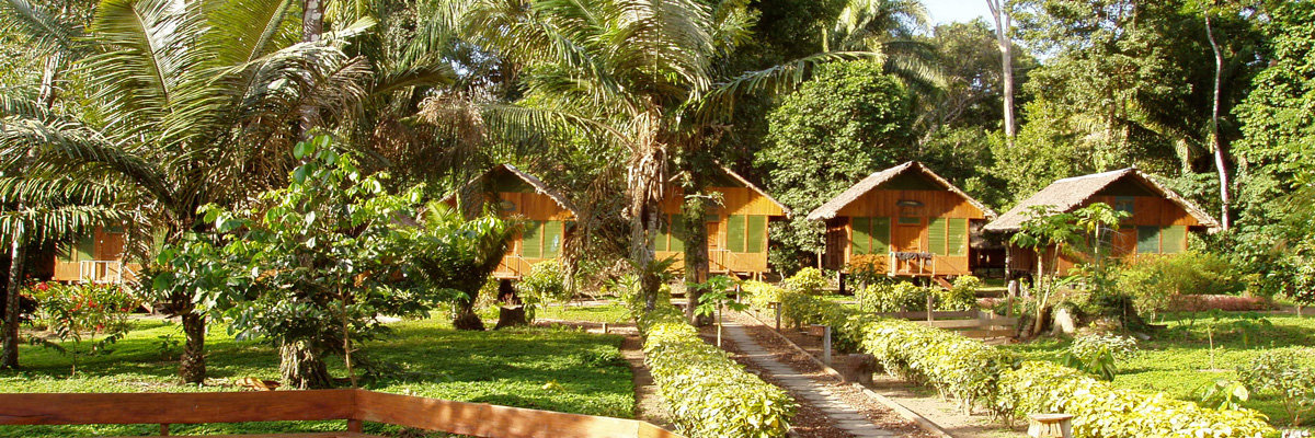 Eco Aventuras em Tambopata - 3 dias en Tambopata