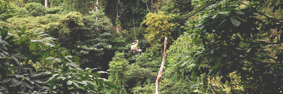 Eco Aventuras e Pillcopata en Tambopata