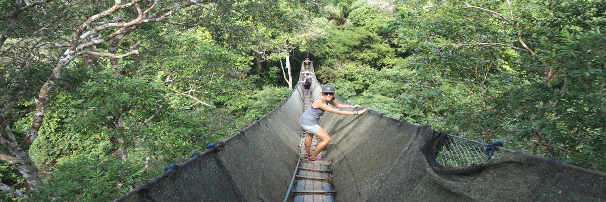 Eco Aventuras e Pillcopata en Tambopata