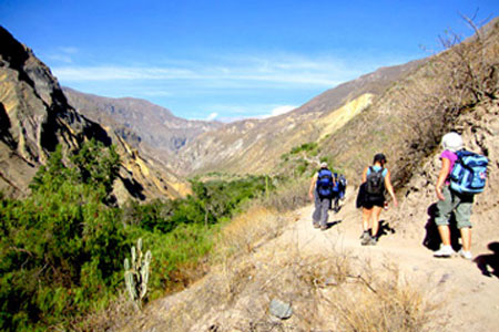 Colca Canyon Trekking  2 Days 