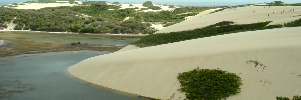 Usaca Oasis en Ica