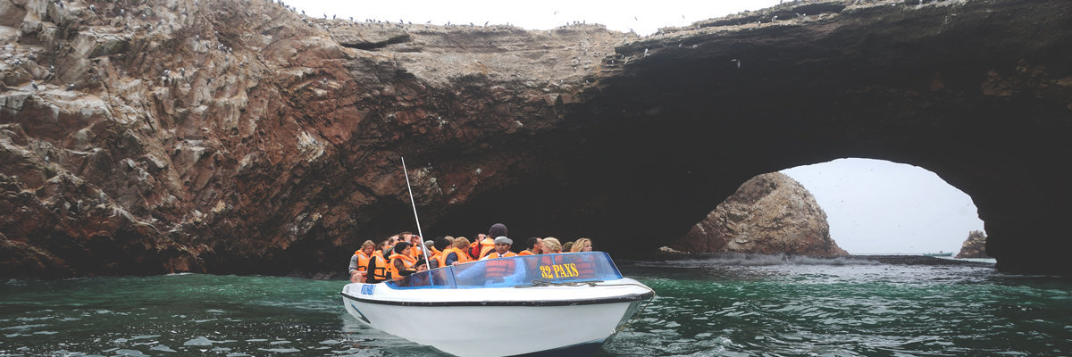 Ballestas Islands en Ica