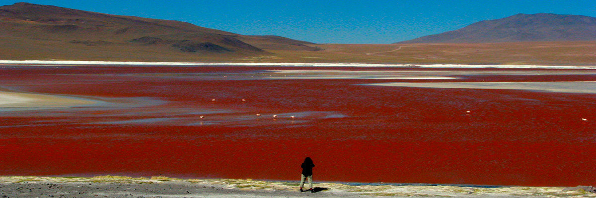 Uyuni Salt Flats Fullday en Uyuni 