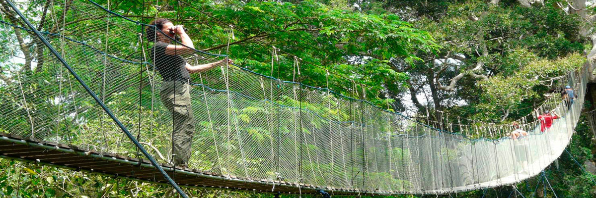 Ecoaventuras Tambopata en Tambopata
