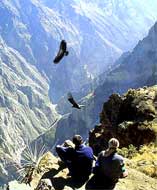 Youth-hostels-arequipa