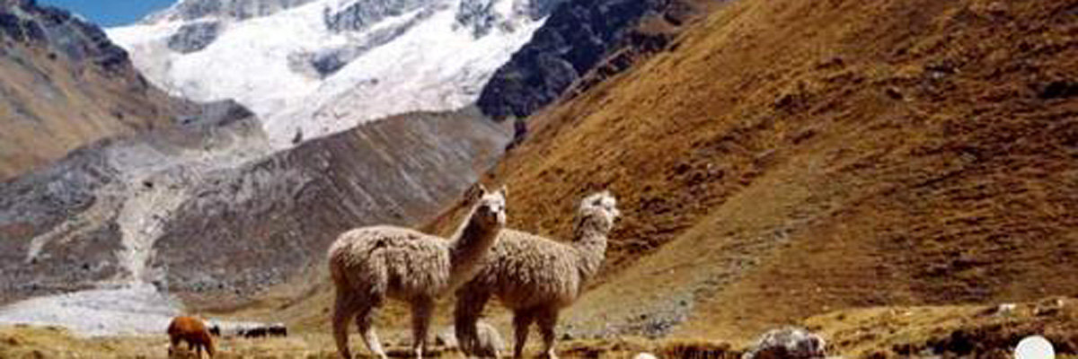 Salkantay Machupicchu  4d/3n en Machu Picchu