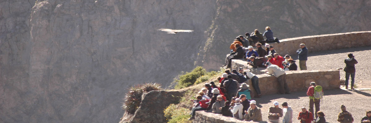 Tour al Cañón del Colca y con Lago Titicaca en Arequipa