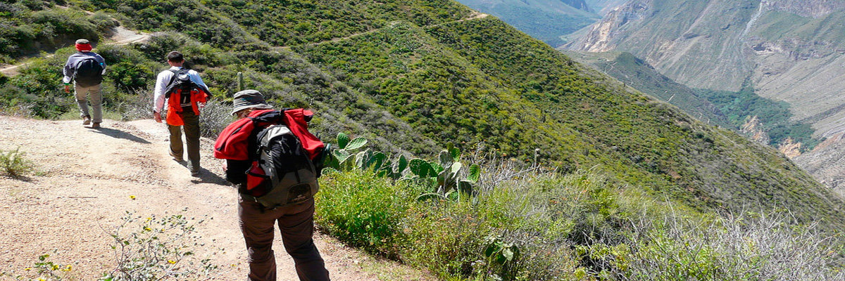 Caminata en el Cañon del Colca 4 Días / 3 Noches  en Arequipa