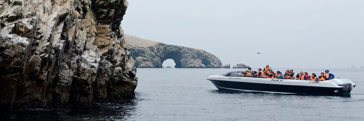 Tour por la Reserva Nacional de Paracas en Ica