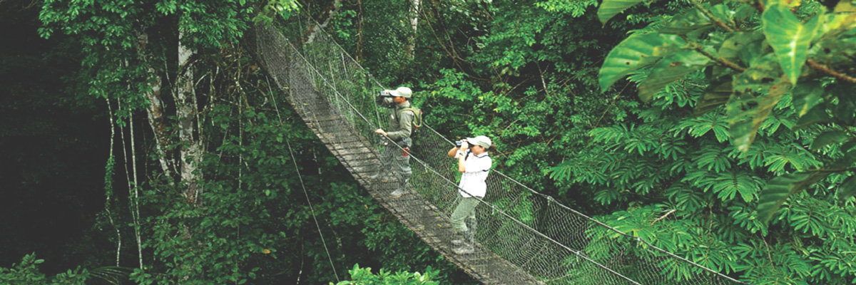 Ecoaventuras -Tambopata - 5 días en Tambopata