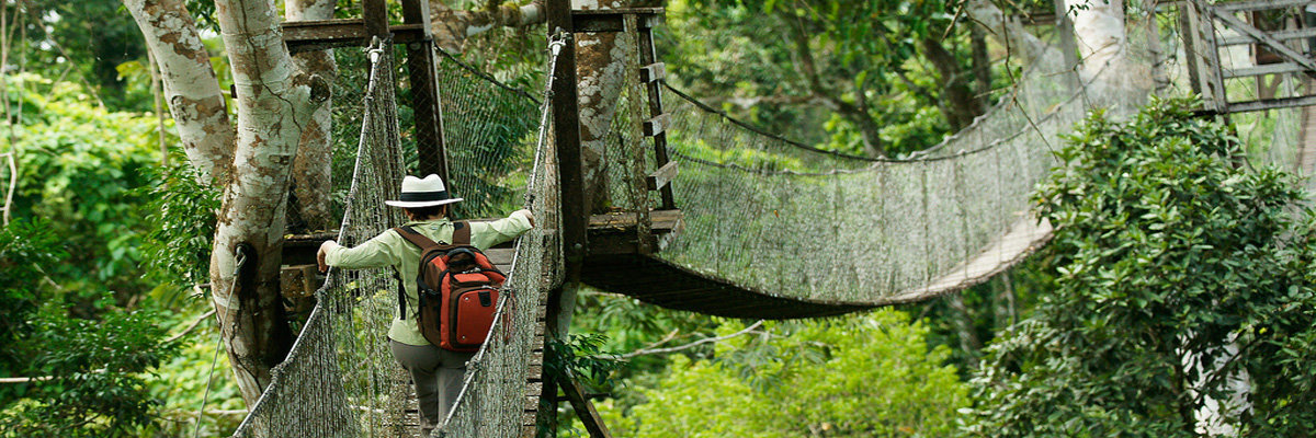 Ecoaventuras Tambopata - 4 días en Tambopata