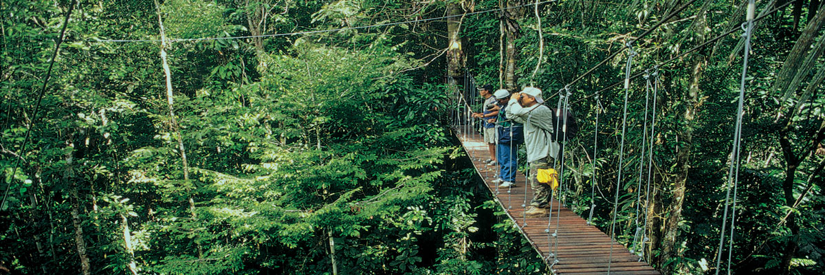 Ecoaventuras en un Día en Tambopata