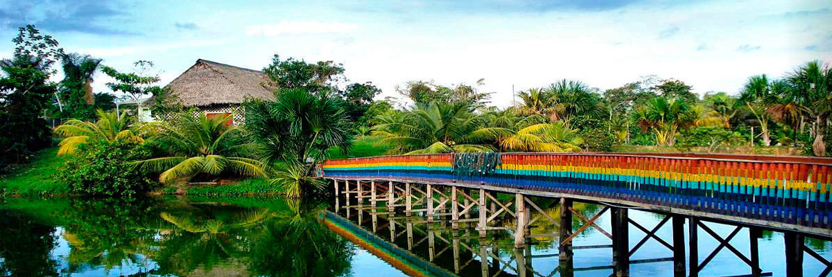 Tour Papagayo 4d / 3n en Iquitos