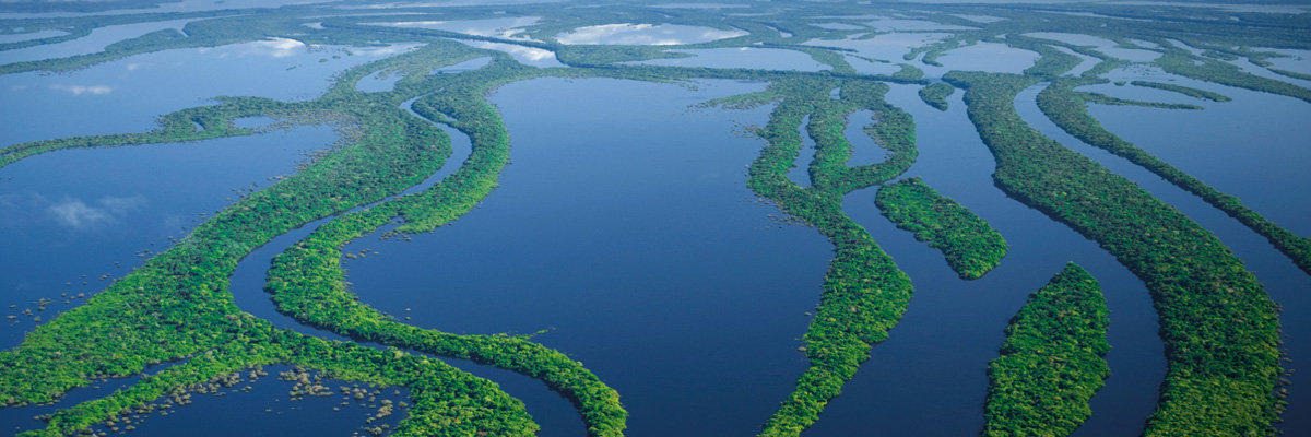 Tour Piraña - 2 días en Iquitos
