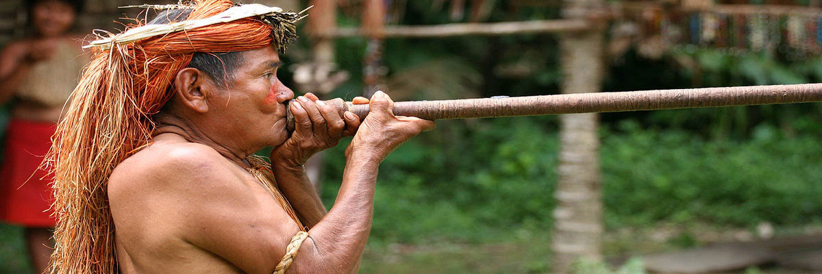 Tour Piraña - 2 días en Iquitos