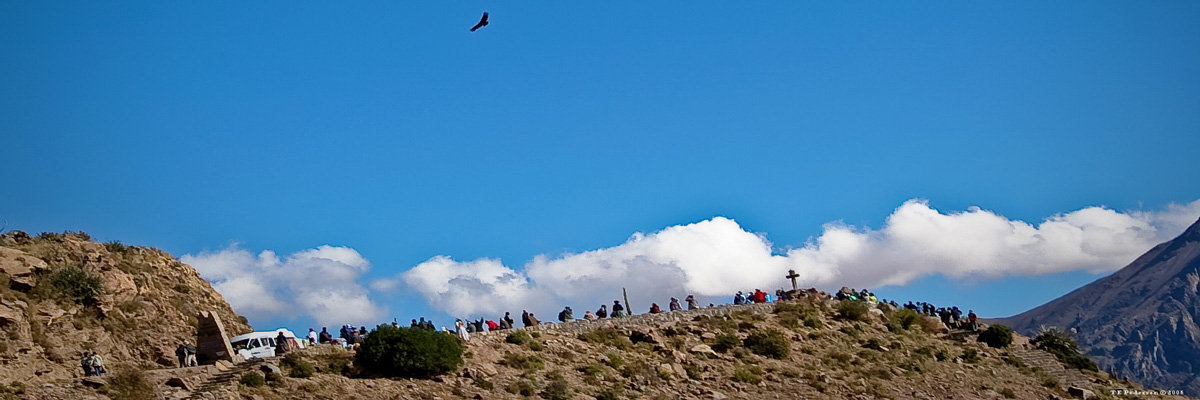 Tour para o Cânion de Colca (1 dia) en Arequipa