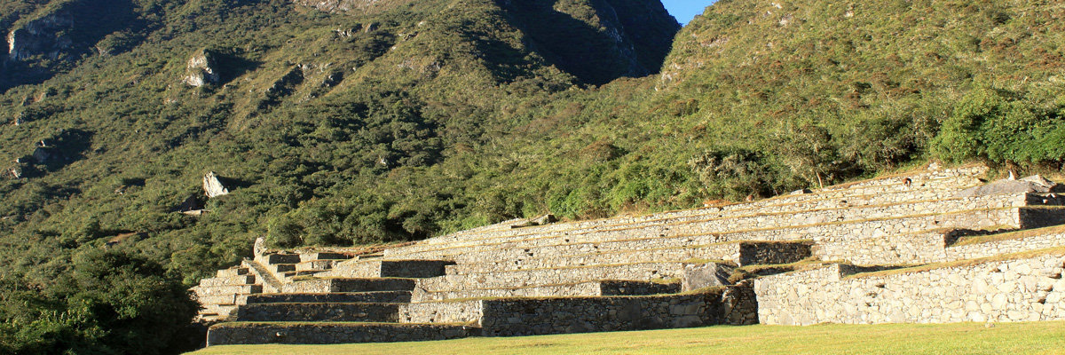 Sanctuary Garden Machu Picchu en Machu Picchu