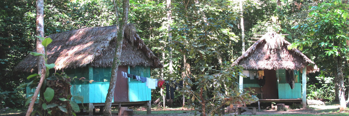 Rurrenabaque and Jungle en Rurrenabaque 